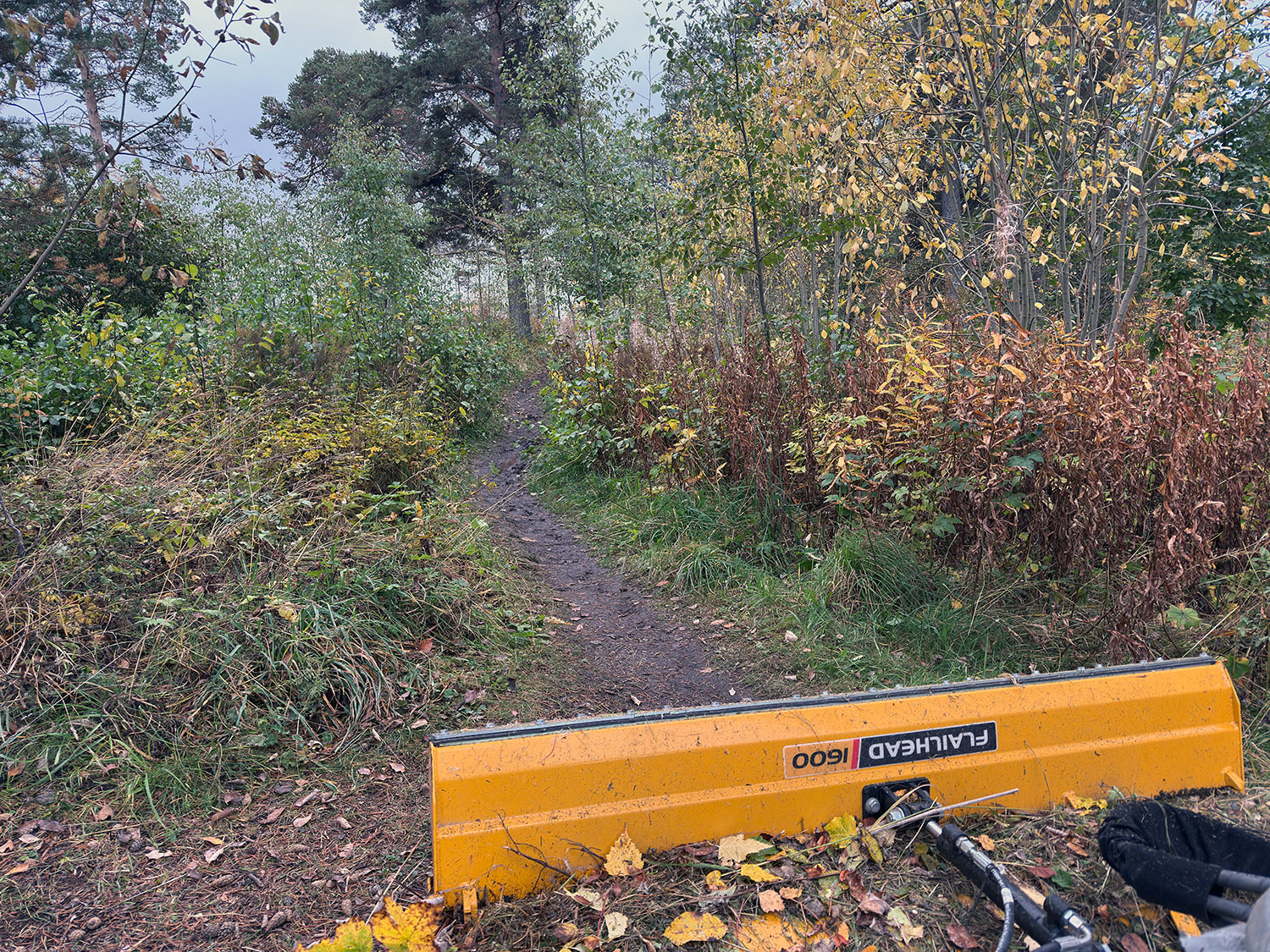 Före: VandringsleD
