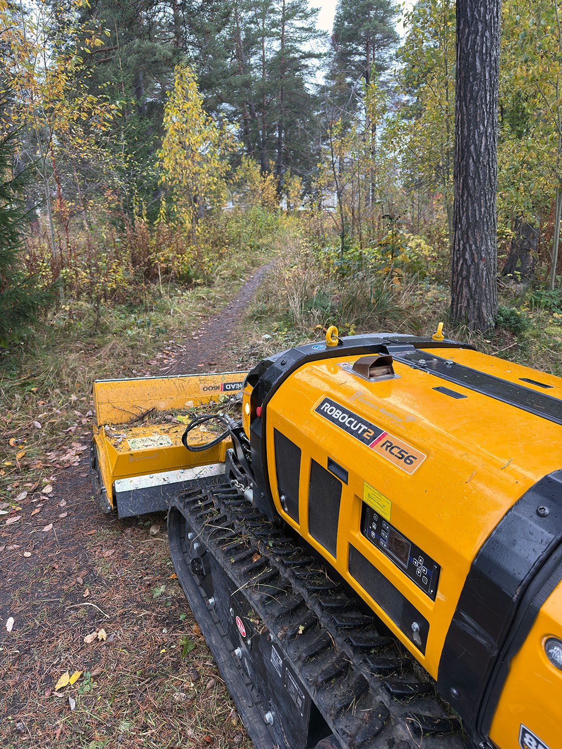 Före: VANDRINGSLED